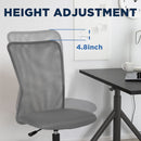 Ergonomic Mesh Office Chair with Lumbar Support