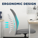 Ergonomic Mesh Office Chair with Lumbar Support